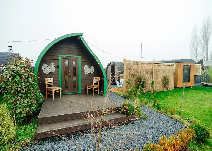 Sunset Retreats The Leaf Recovery Cabin